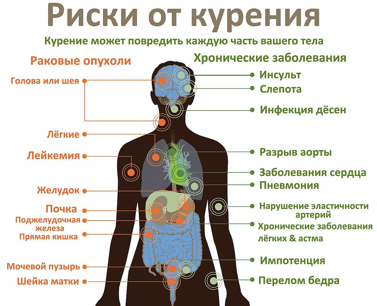 Что вреднее всего курить?