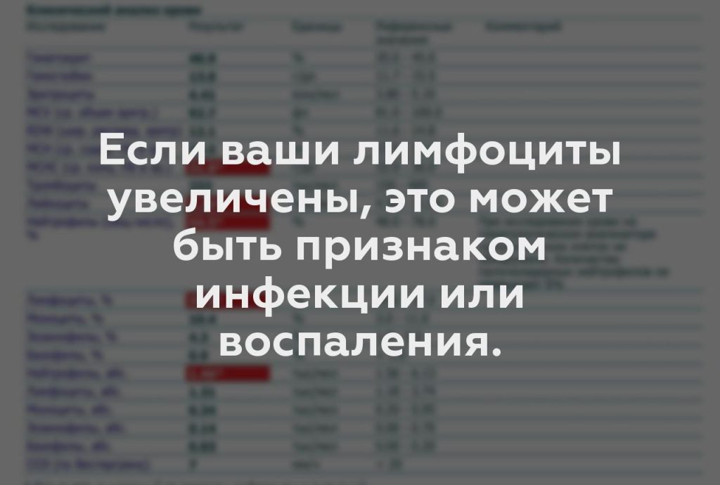 Если ваши лимфоциты увеличены, это может быть признаком инфекции или воспаления.