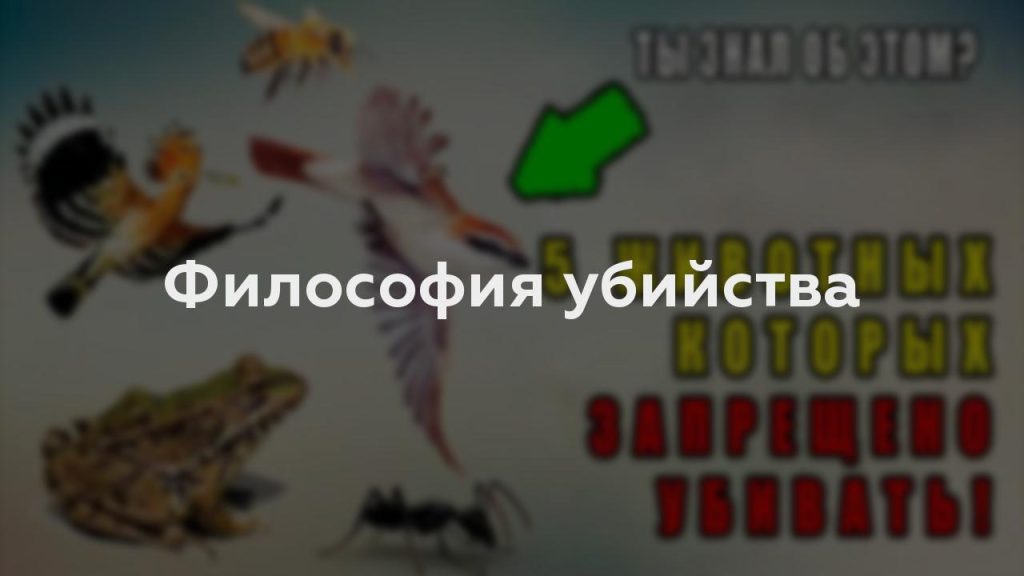 Философия убийства