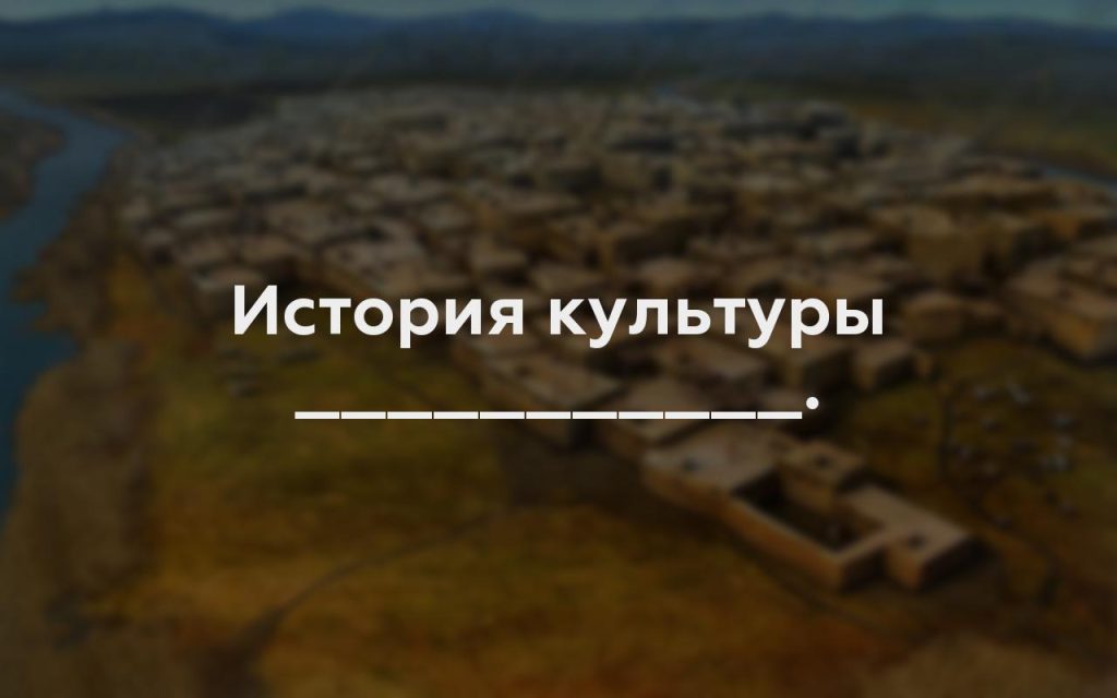 История культуры ___________.