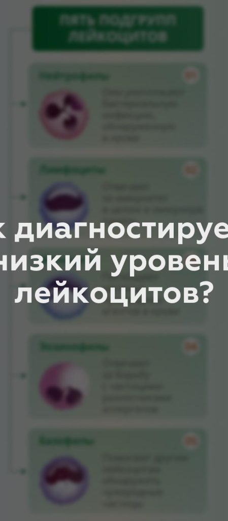 Как диагностируется низкий уровень лейкоцитов?