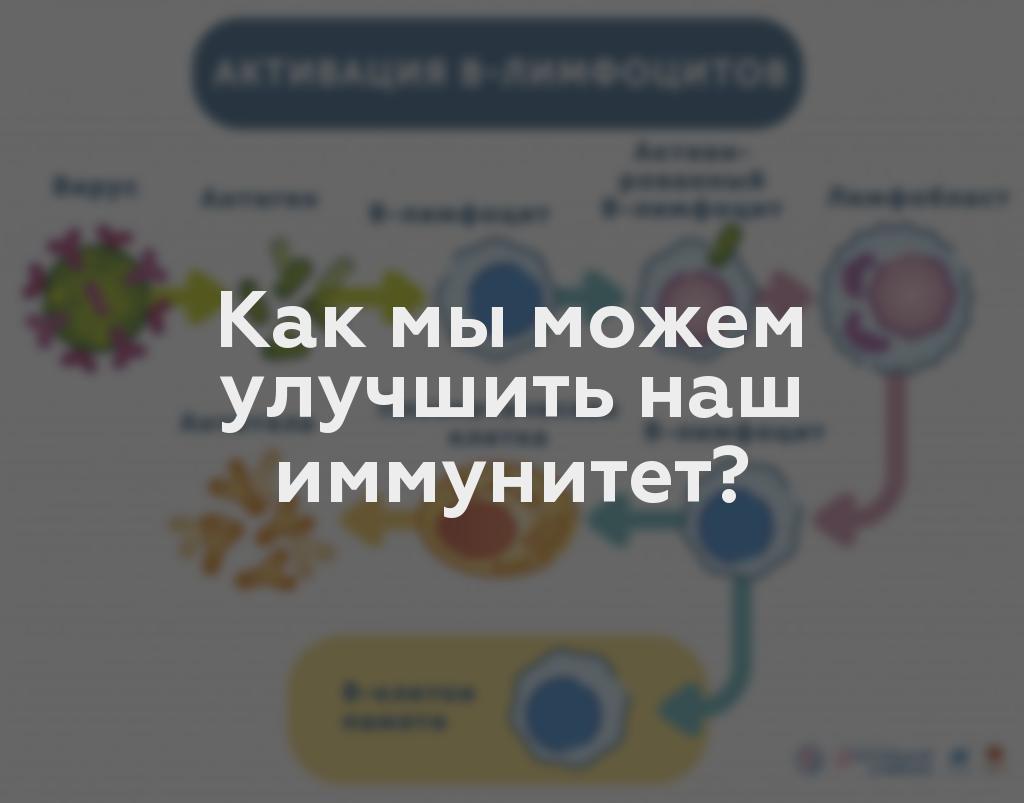 Как мы можем улучшить наш иммунитет?