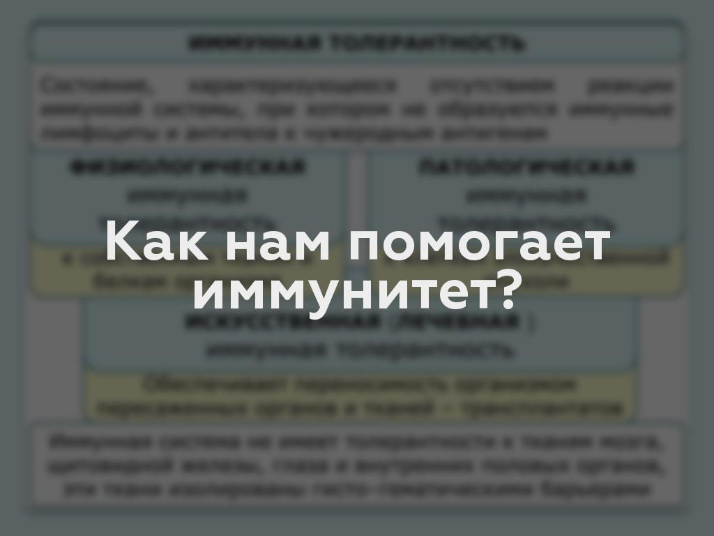 Как нам помогает иммунитет?