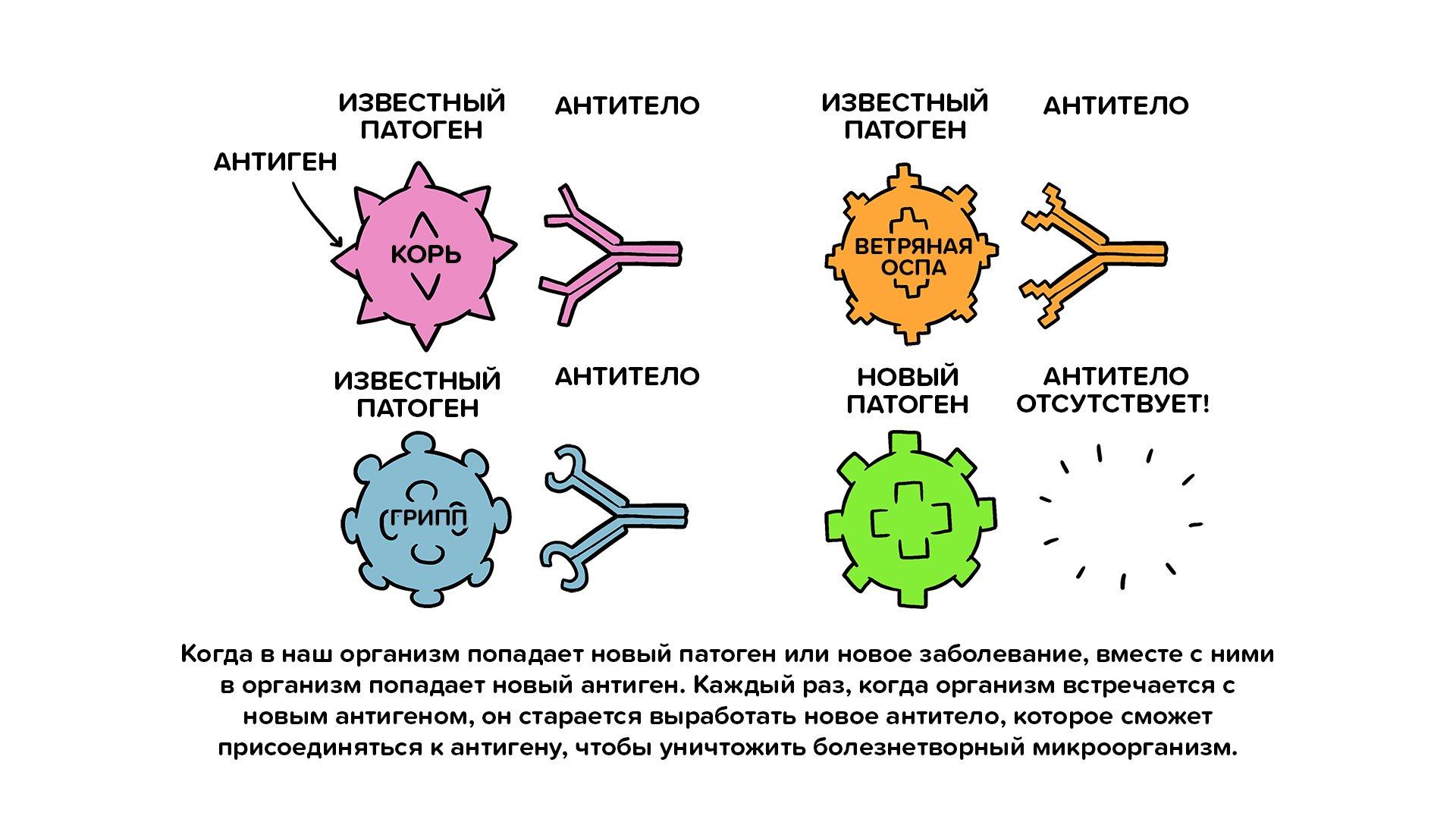 Как называется болезнь когда нет иммунитета?