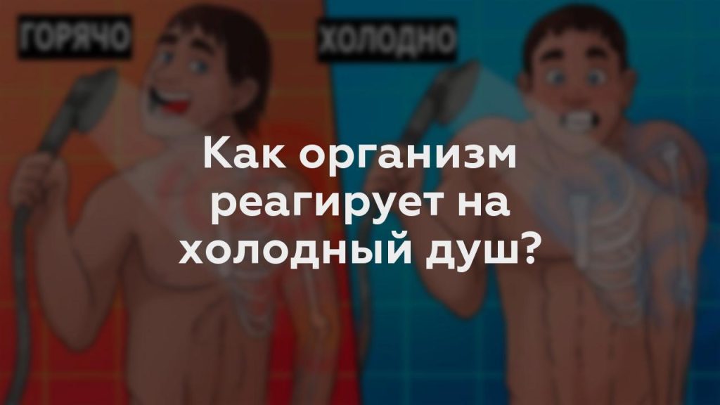 Как организм реагирует на холодный душ?