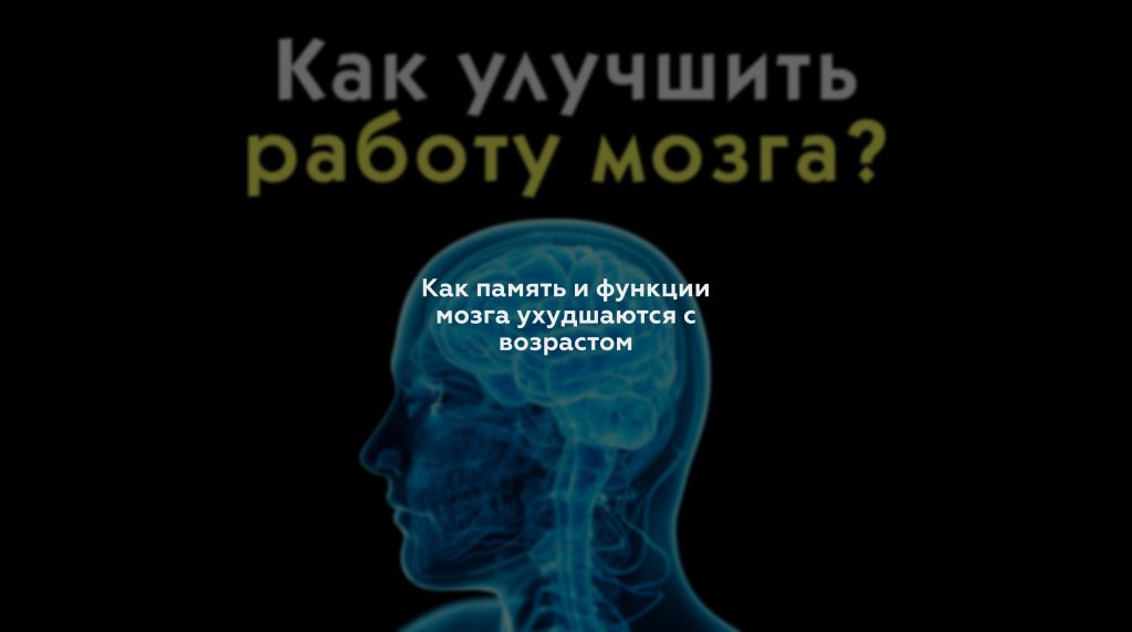 Как память и функции мозга ухудшаются с возрастом