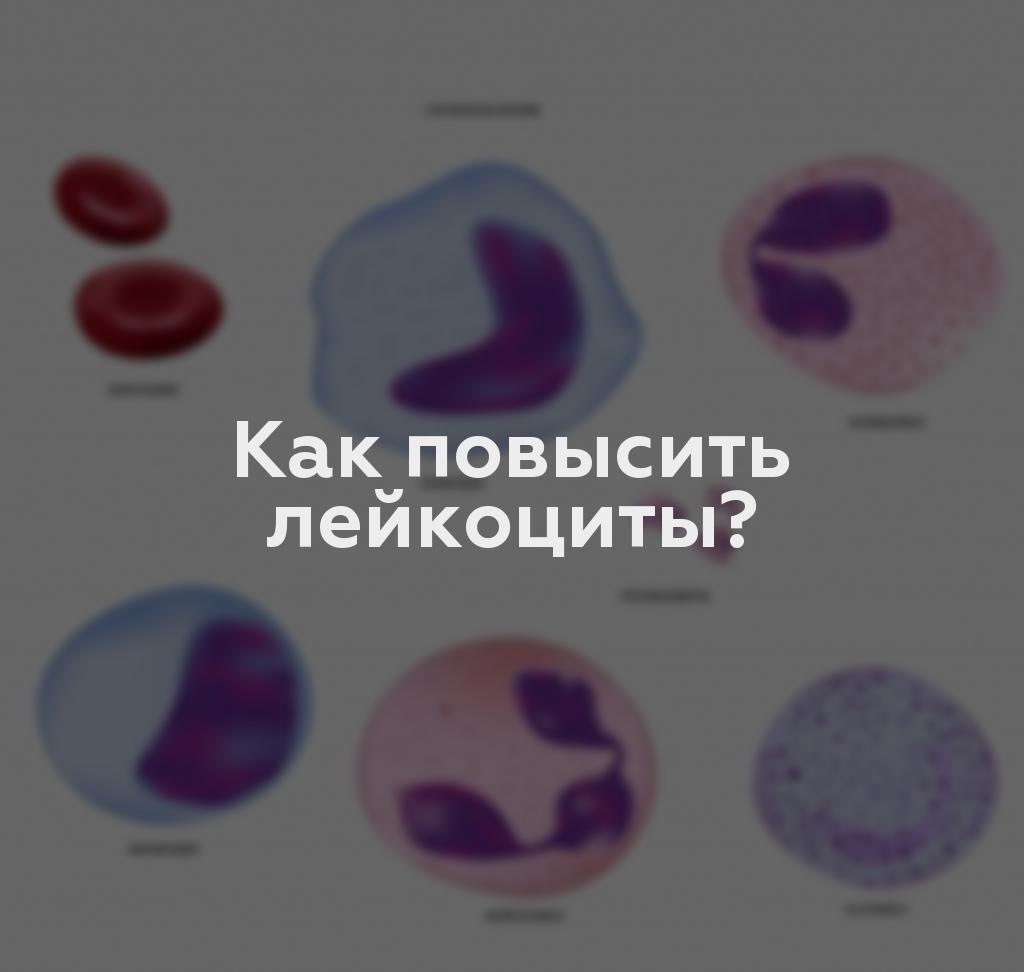 Как повысить лейкоциты?