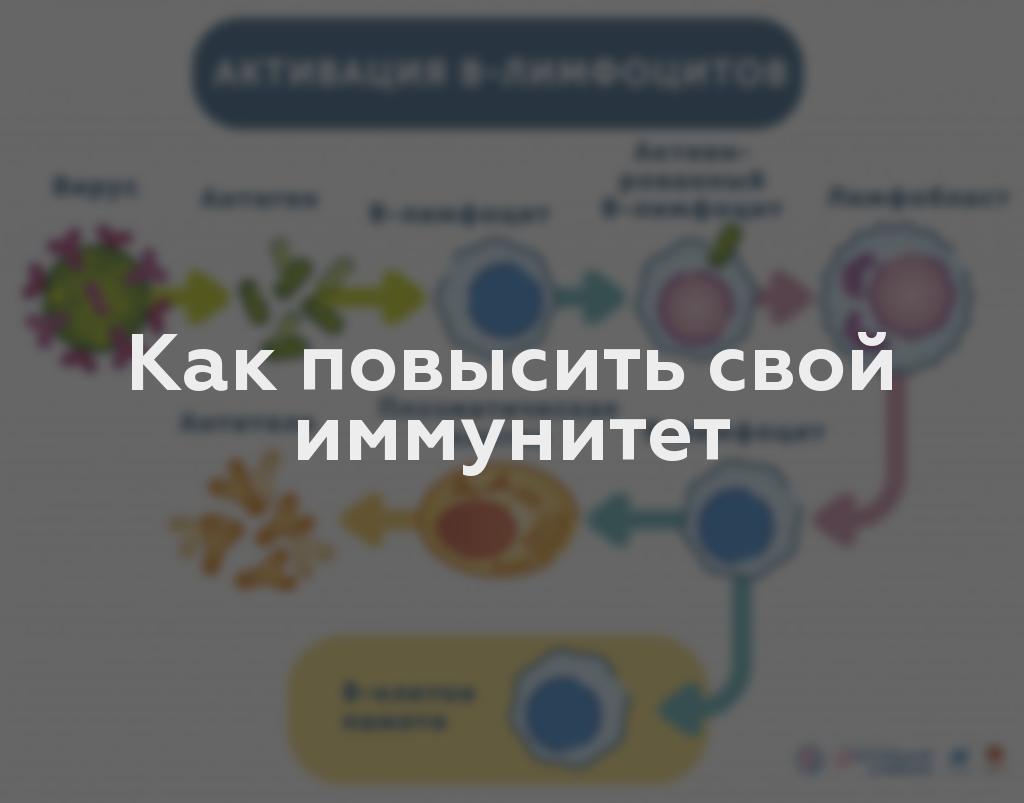 Как повысить свой иммунитет