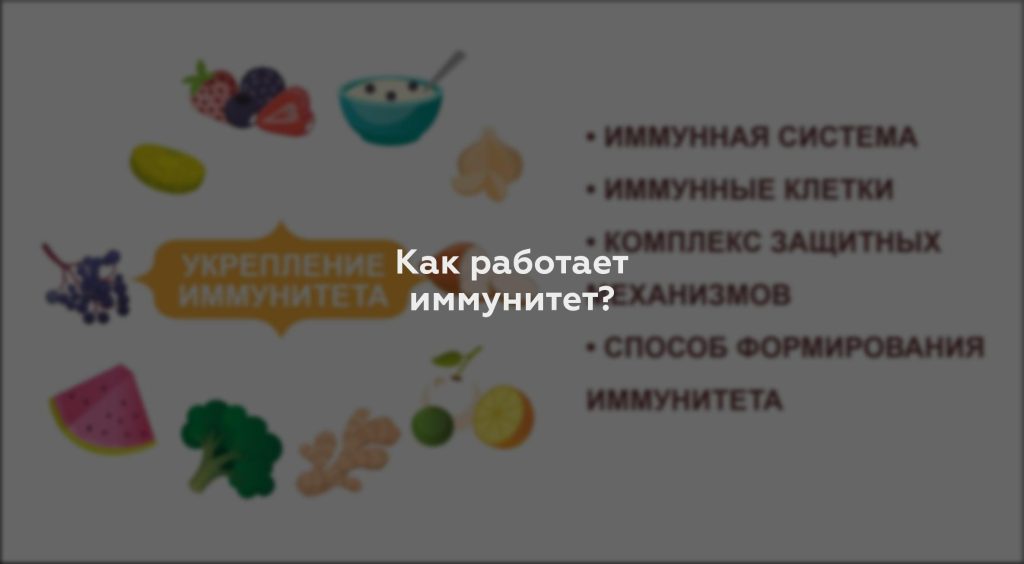 Как работает иммунитет?