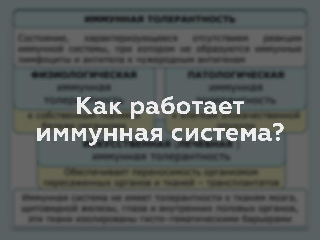 Как работает иммунная система?