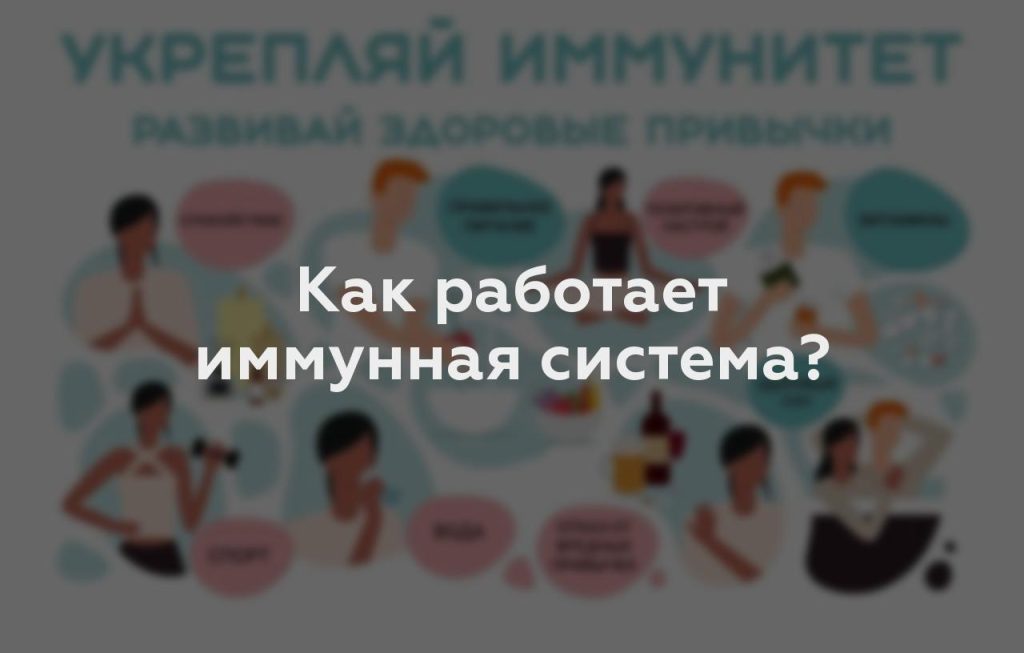 Как работает иммунная система?