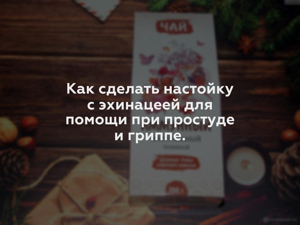 Как сделать настойку с эхинацеей для помощи при простуде и гриппе.