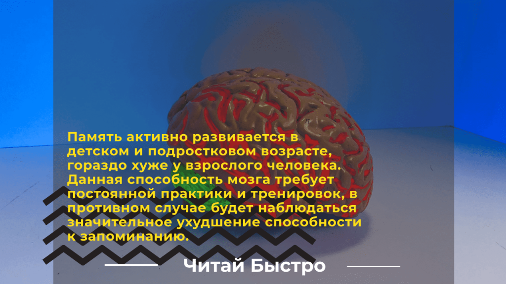 Как улучшить память и работу мозга?