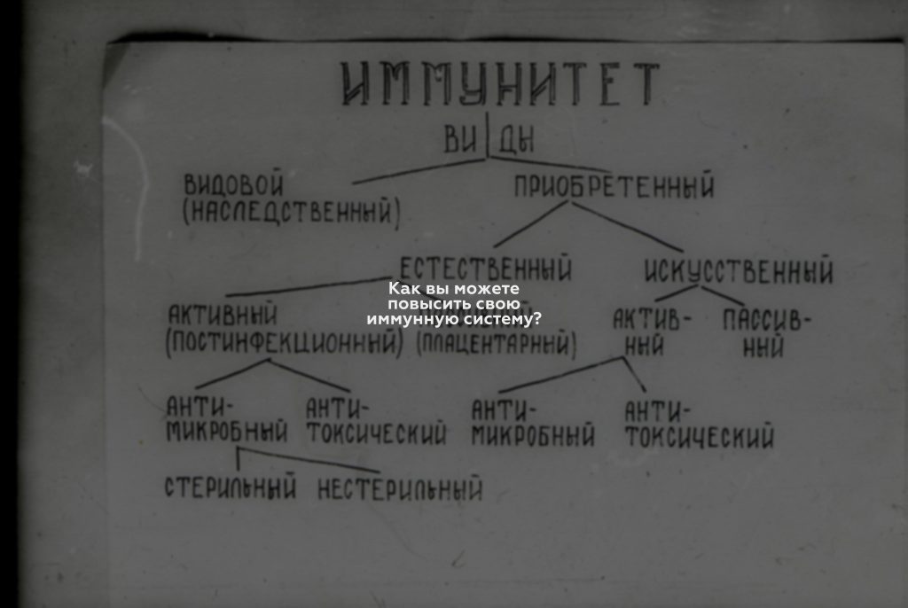 Как вы можете повысить свою иммунную систему?