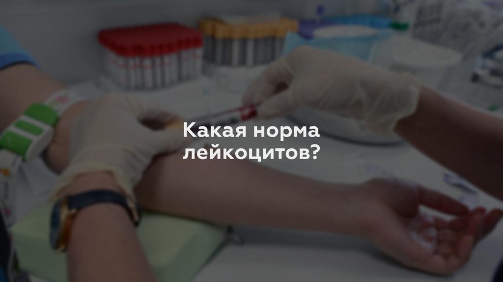 Какая норма лейкоцитов?