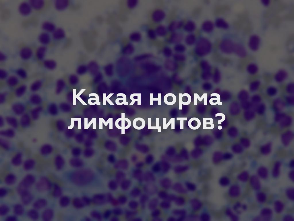 Какая норма лимфоцитов?