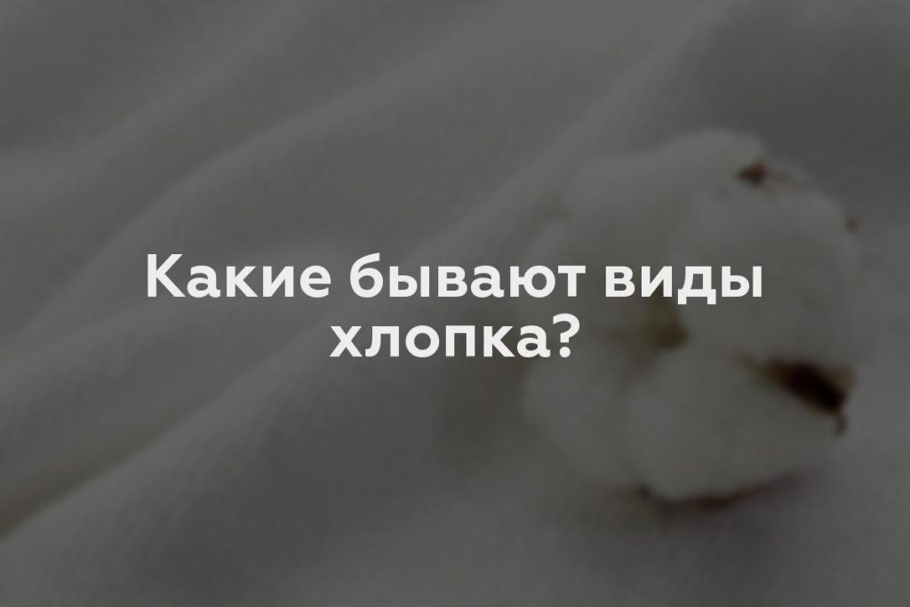 Какие бывают виды хлопка?