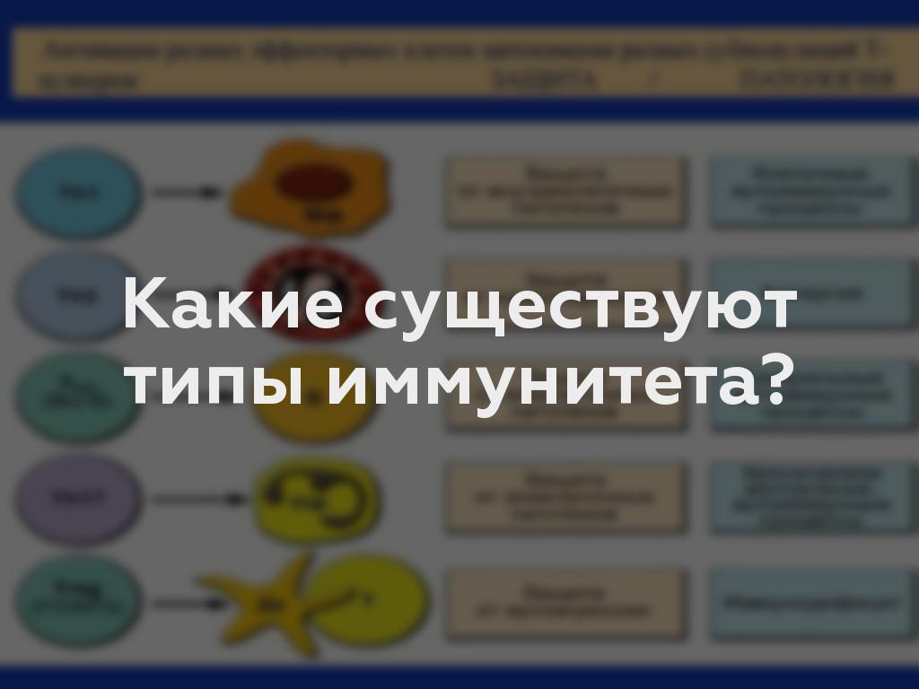 Какие существуют типы иммунитета?