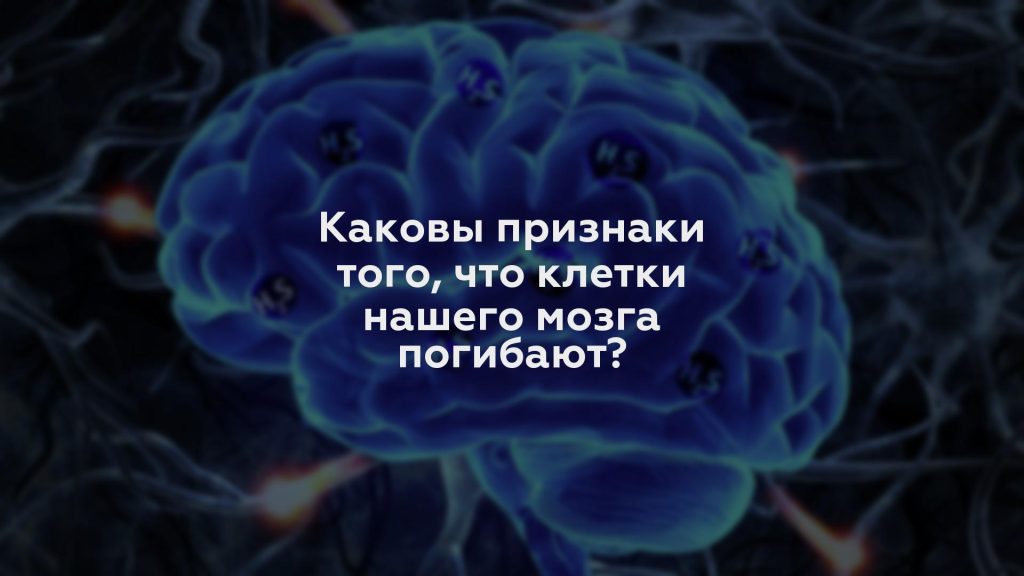 Каковы признаки того, что клетки нашего мозга погибают?