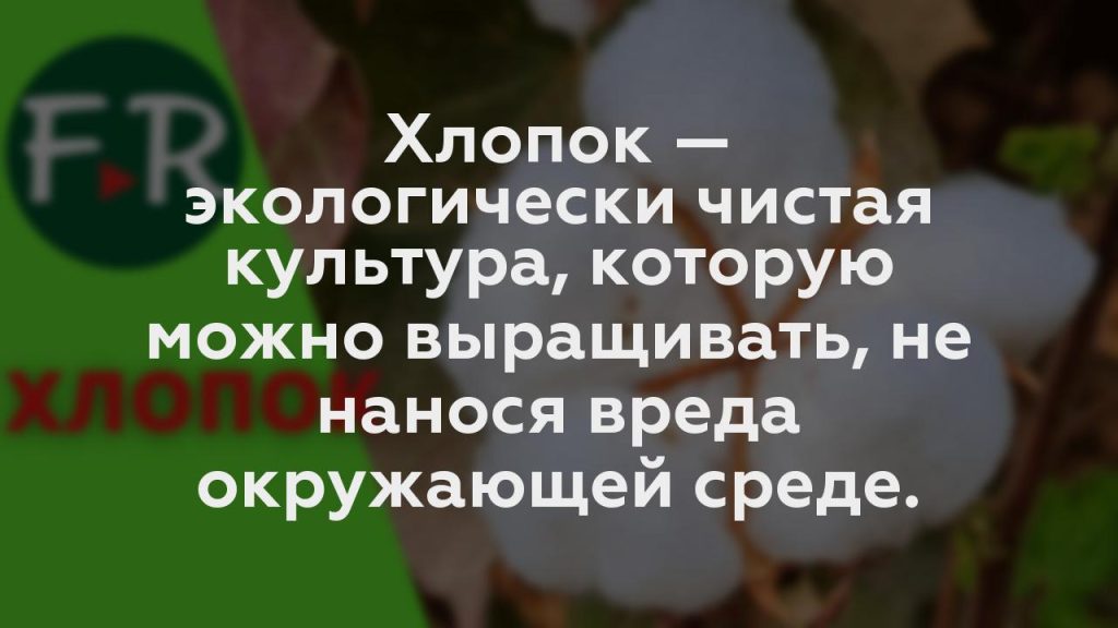 Хлопок — экологически чистая культура, которую можно выращивать, не нанося вреда окружающей среде.