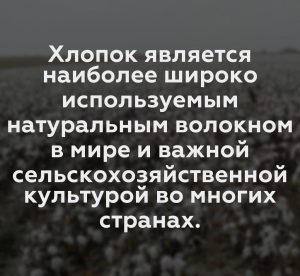 Хлопок является наиболее широко используемым натуральным волокном в мире и важной сельскохозяйственной культурой во многих странах.