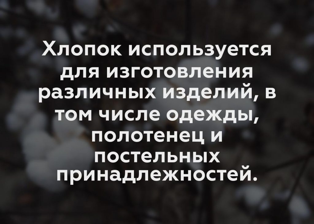 Хлопок используется для изготовления различных изделий, в том числе одежды, полотенец и постельных принадлежностей.