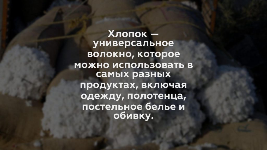 Хлопок — универсальное волокно, которое можно использовать в самых разных продуктах, включая одежду, полотенца, постельное белье и обивку.