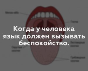 Когда у человека язык должен вызывать беспокойство.