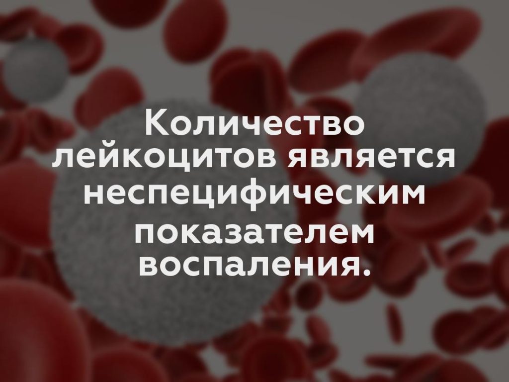 Количество лейкоцитов является неспецифическим показателем воспаления.