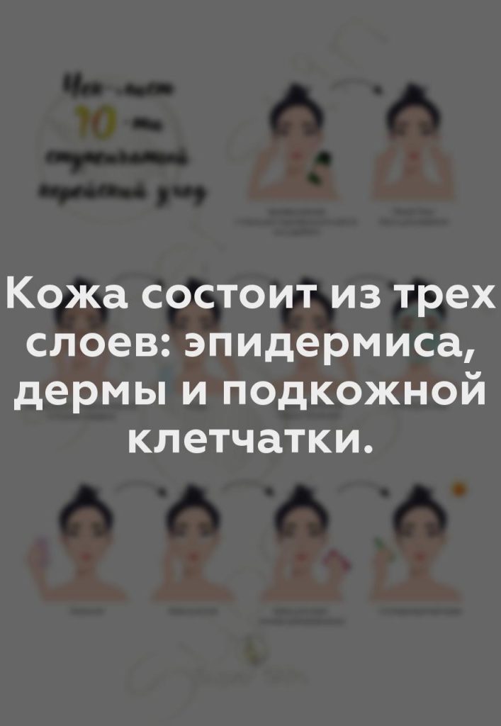 Кожа состоит из трех слоев: эпидермиса, дермы и подкожной клетчатки.