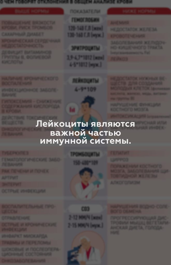 Лейкоциты являются важной частью иммунной системы.