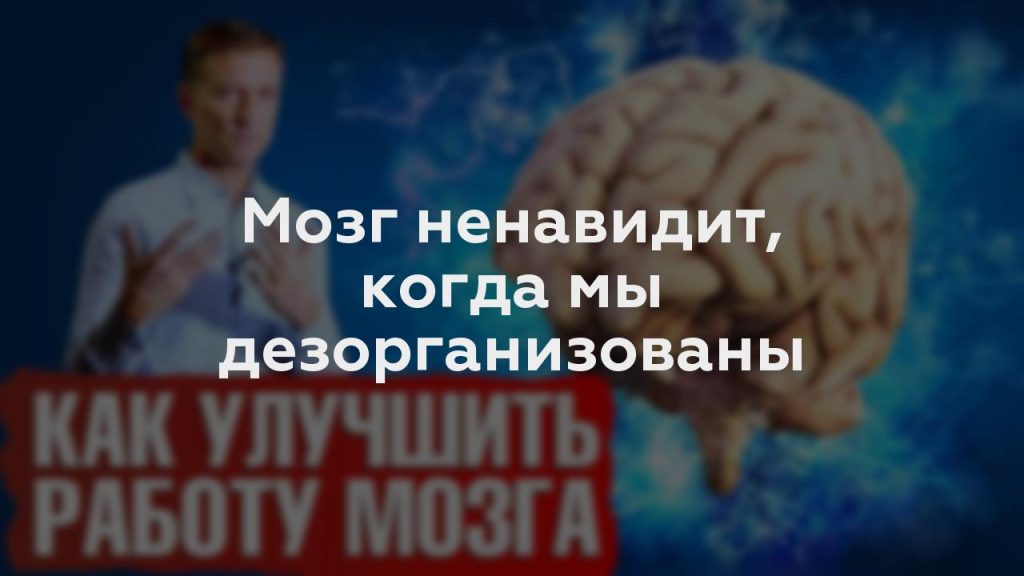 Мозг ненавидит, когда мы дезорганизованы