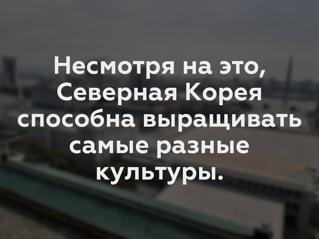 Несмотря на это, Северная Корея способна выращивать самые разные культуры.