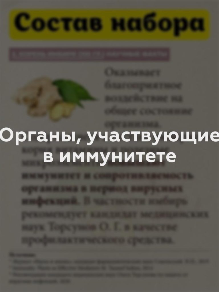 Органы, участвующие в иммунитете