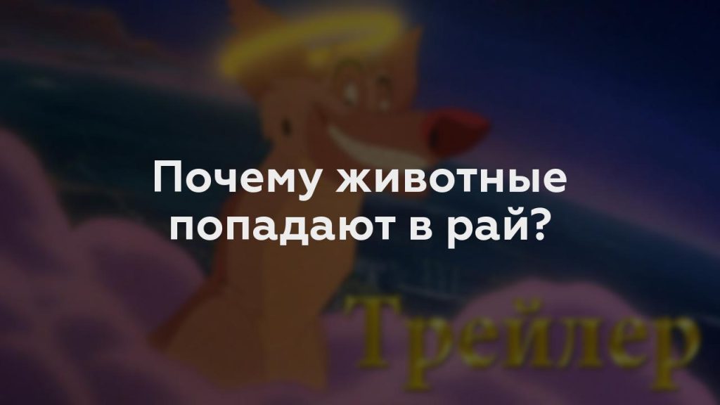 Почему животные попадают в рай?