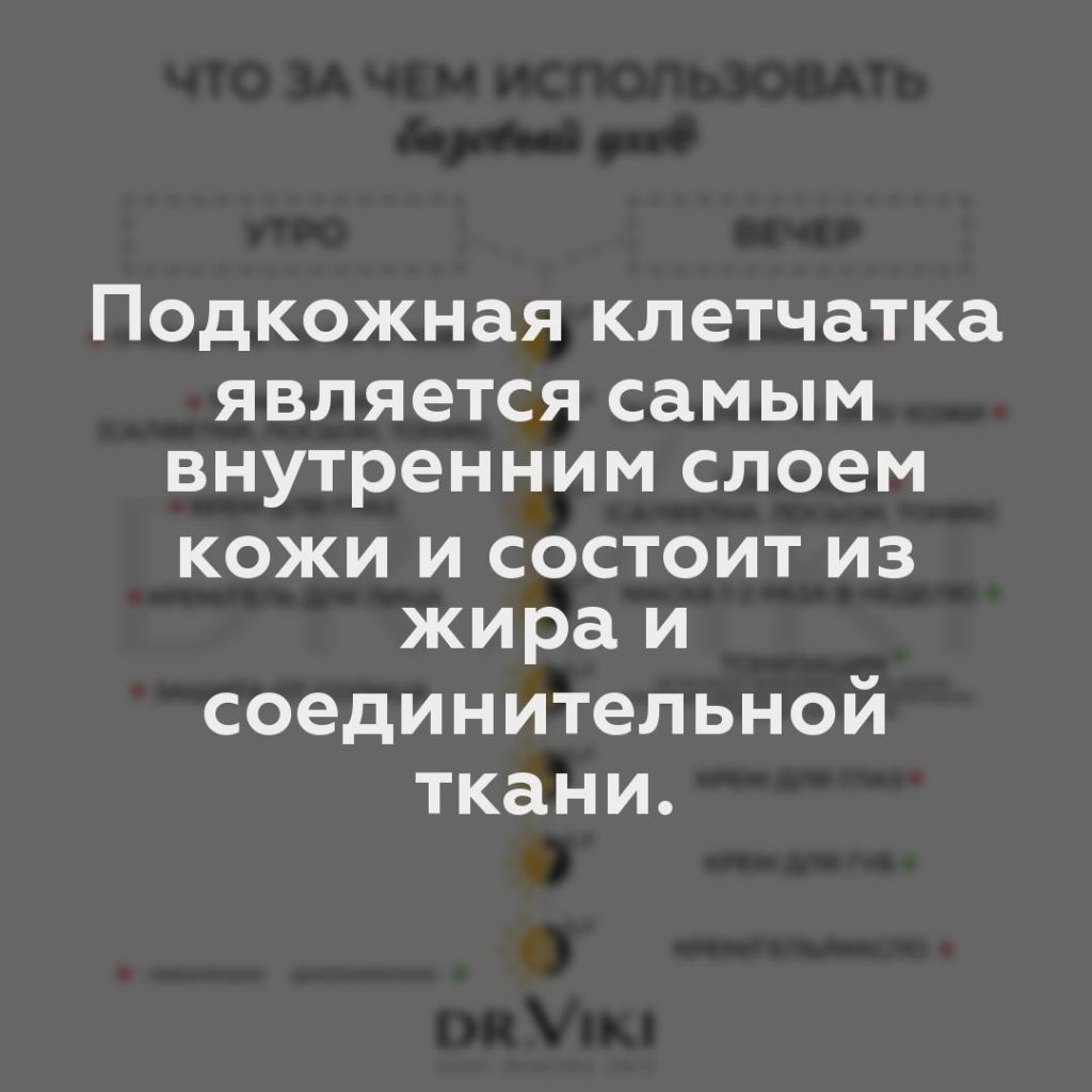 Подкожная клетчатка является самым внутренним слоем кожи и состоит из жира и соединительной ткани.