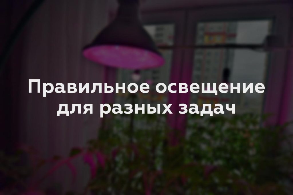 Правильное освещение для разных задач