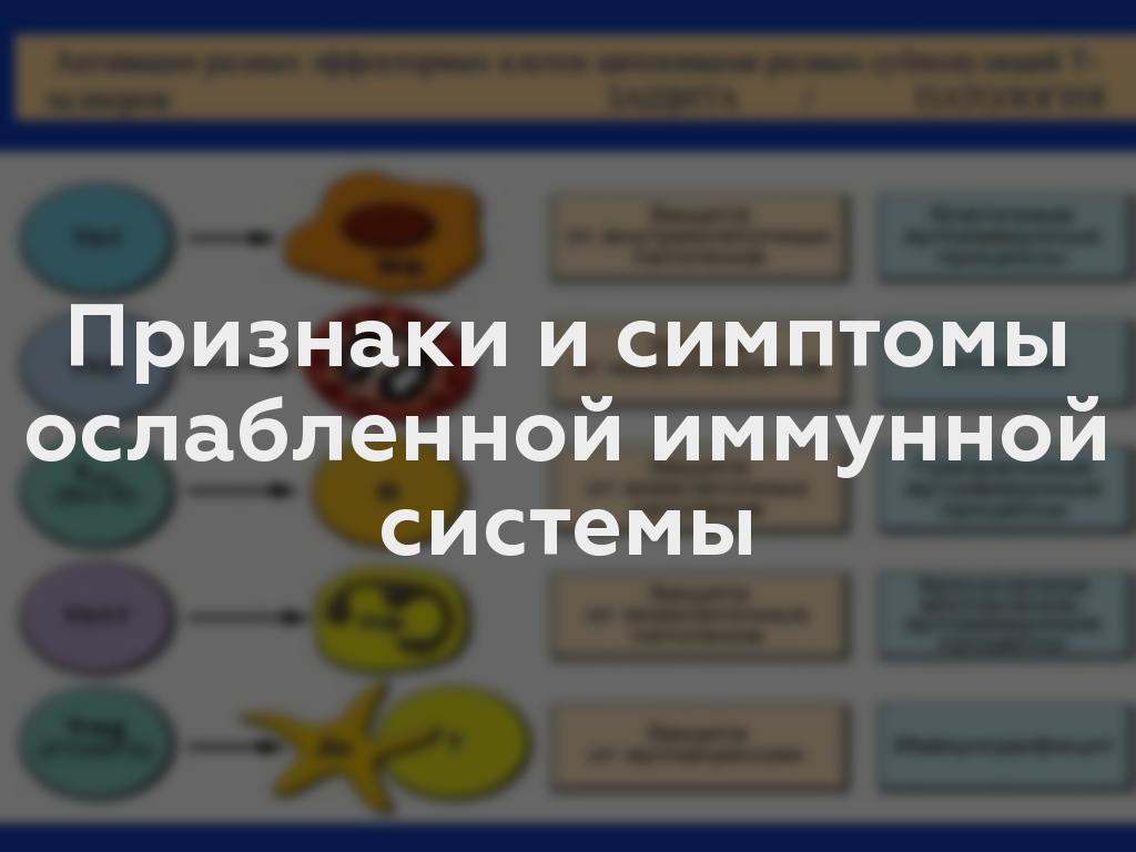 Признаки и симптомы ослабленной иммунной системы