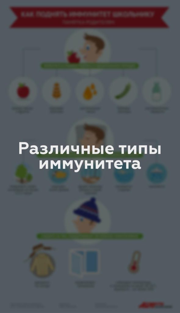 Различные типы иммунитета