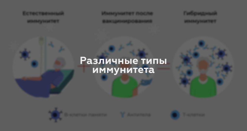 Различные типы иммунитета