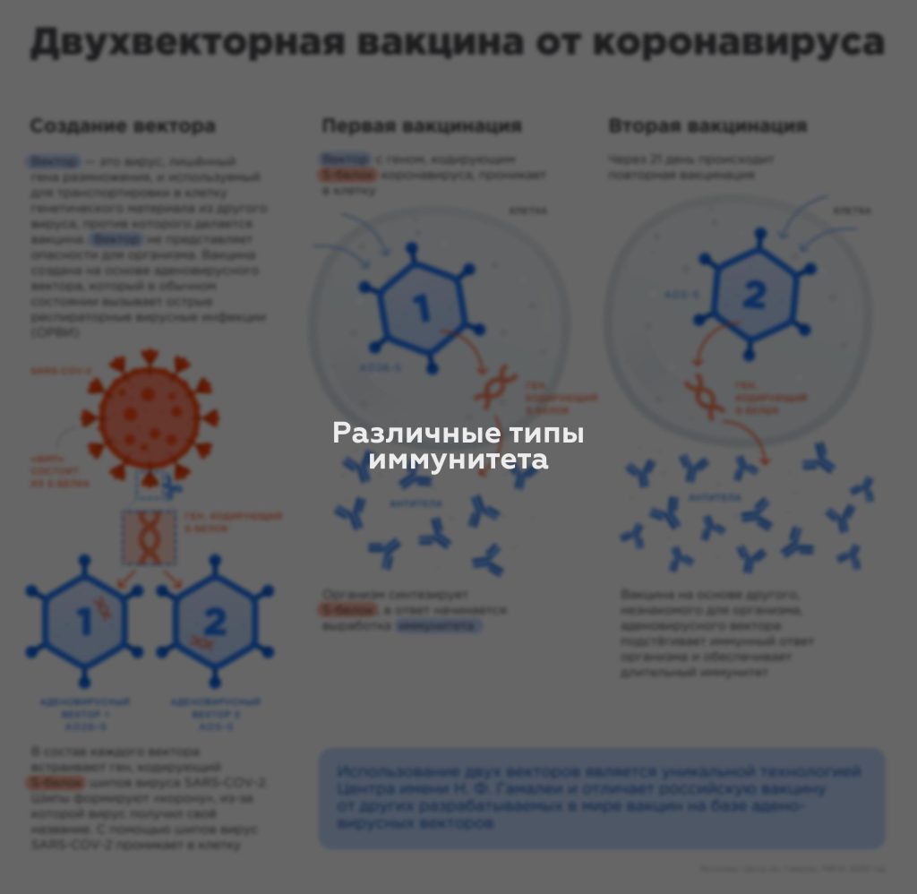 Различные типы иммунитета