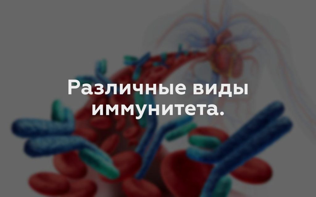 Различные виды иммунитета.