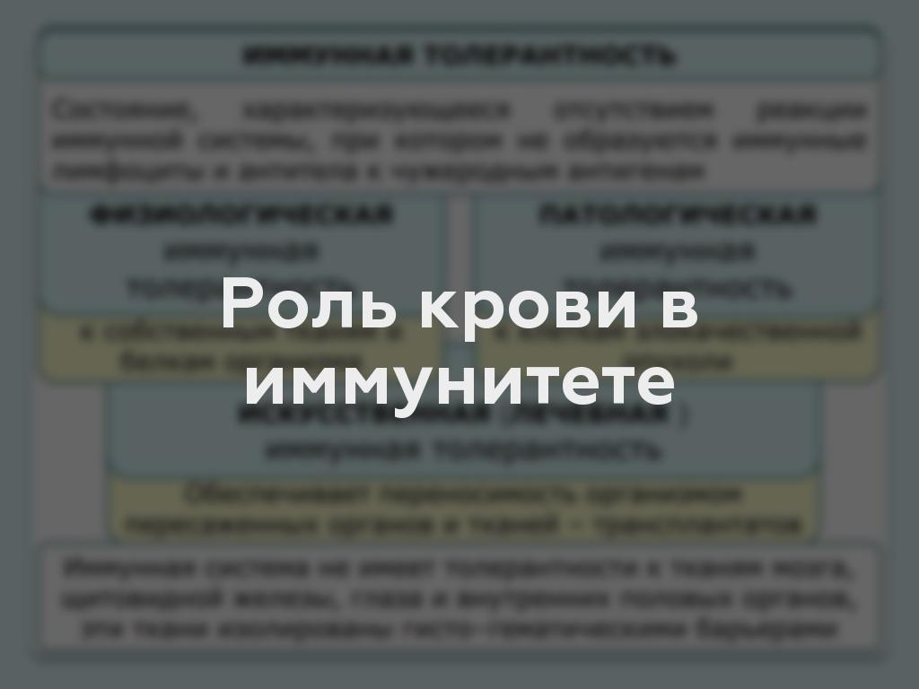 Роль крови в иммунитете