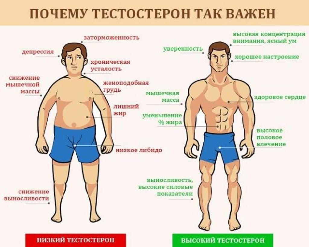 Сколько спать для тестостерона?