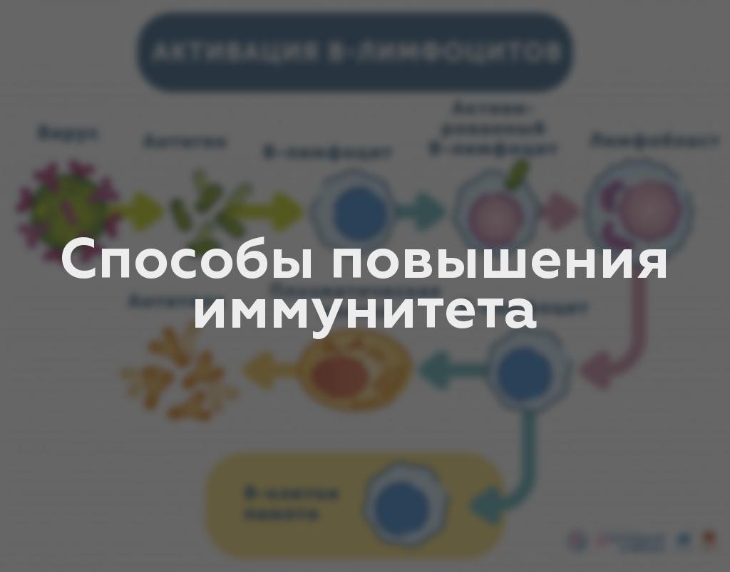 Способы повышения иммунитета