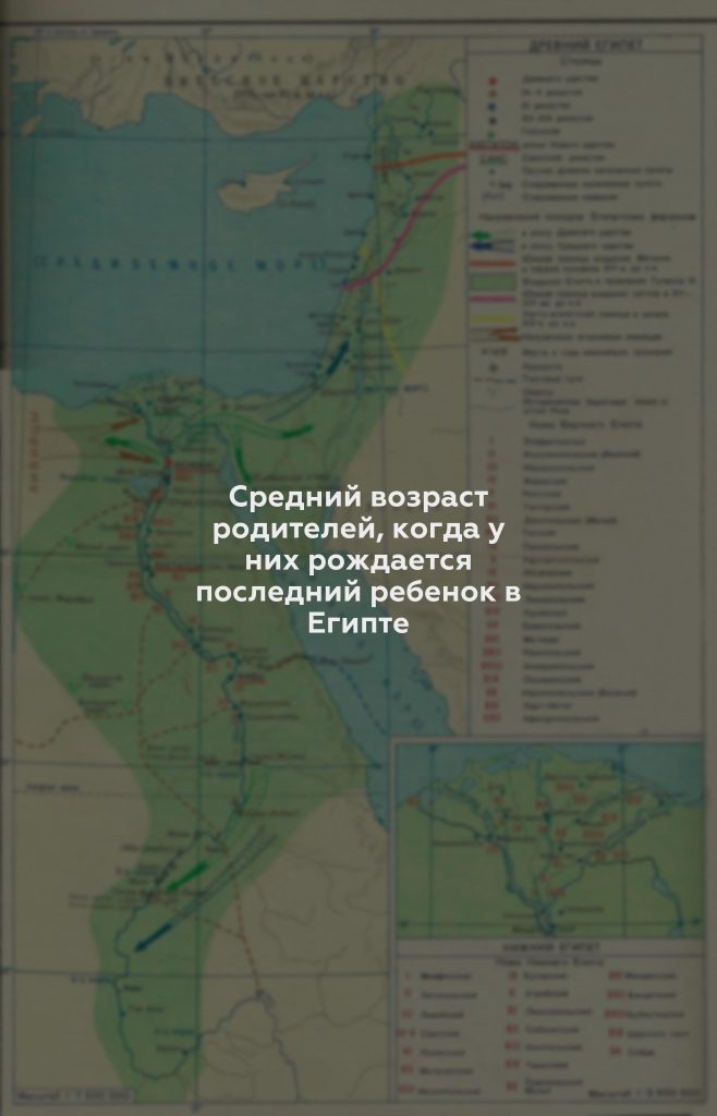 Средний возраст родителей, когда у них рождается последний ребенок в Египте