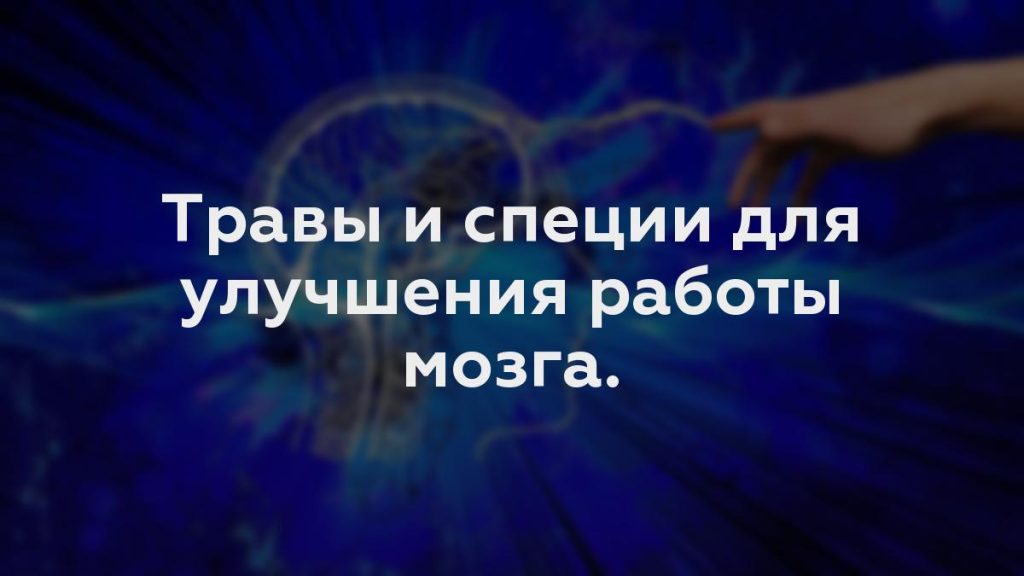 Травы и специи для улучшения работы мозга.