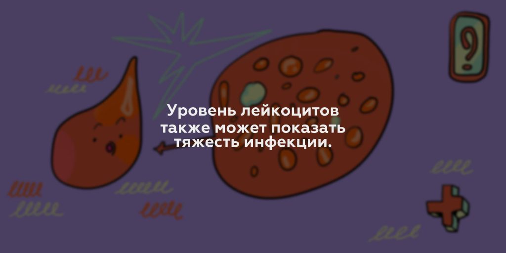 Уровень лейкоцитов также может показать тяжесть инфекции.