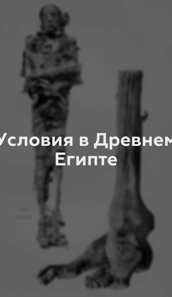 Условия в Древнем Египте