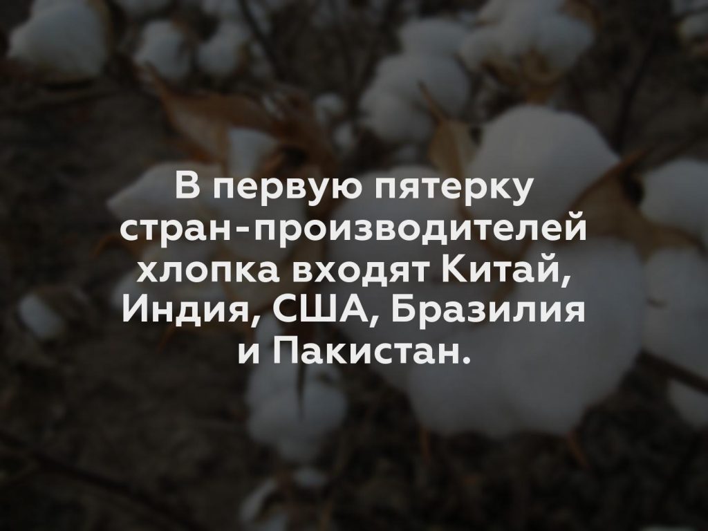 В первую пятерку стран-производителей хлопка входят Китай, Индия, США, Бразилия и Пакистан.